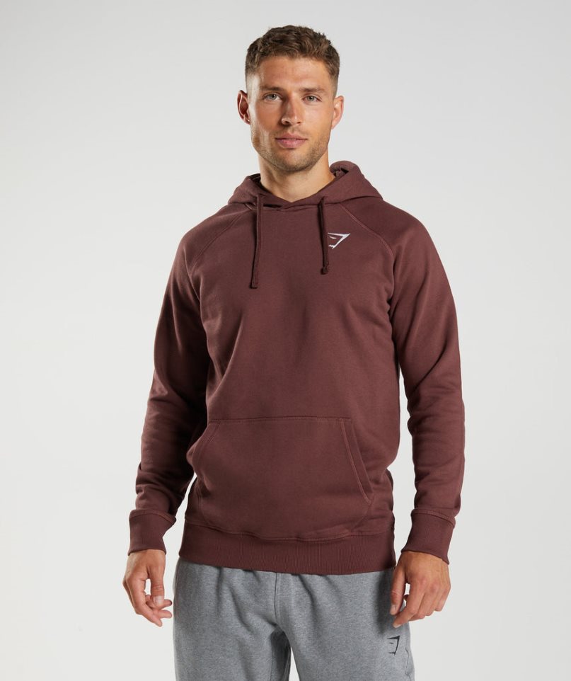 Bluzy Z Kapturem Gymshark Crest Męskie Brązowe | PL 413HIN